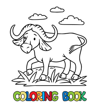Funny wild buffalo coloring book. Alphabet Y