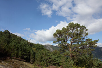 Norwegen - Landschaft bei Nordrevik und Vadheim / Norway - Landscape near Nordrevik and Vadheim /