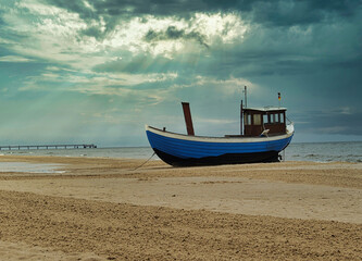 Fototapeta premium Seeschwalbe