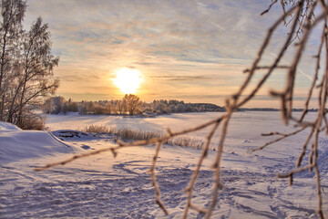 Fototapeta na wymiar Russian winter landscape. The frozen Volga river. White branches on the background of the sunset.