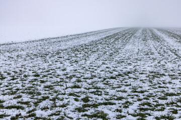 landwirtschaft im winter