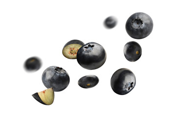 blueberry fly banner ,fruit blueberry super vitamin, berry isolated clipping path
