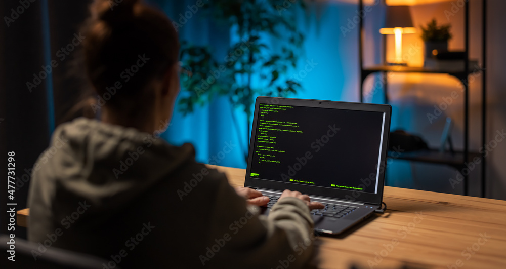 Aufkleber back view of mature woman coding html on modern laptop while sitting at home during evening time. fe