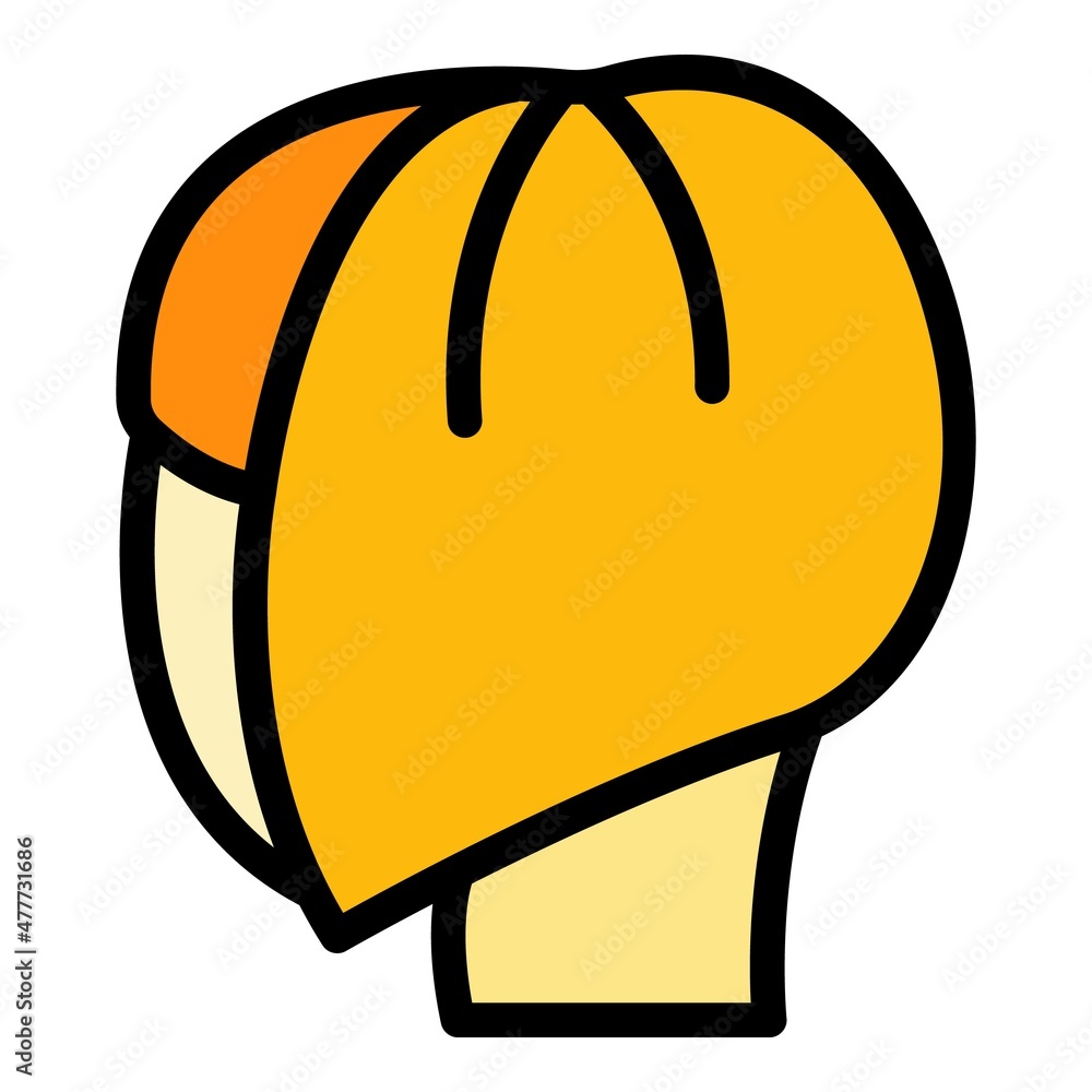 Poster artificial wig icon. outline artificial wig vector icon color flat isolated
