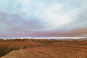 Cold misty morning in the vineyards of Italy