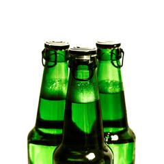 beer bottles isolated on white