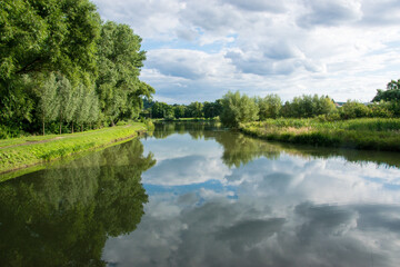 A small pond among the trees where ducks and swans live near the town of Kurim in the Czech Republic. Summer landscape with water and trees around.