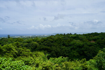 Fototapeta na wymiar Landscape with trees and clouds in Okinawa.