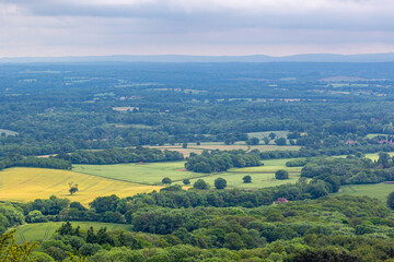 landscape with fields