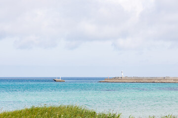 夏の礼文島風景