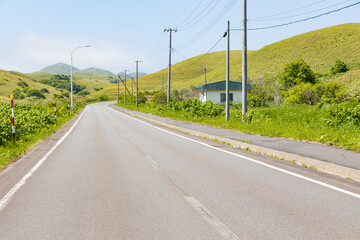 夏の礼文島風景