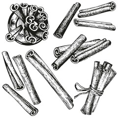 Collection of hand-drawn vector sketches of cinnamon. A set of isolated illustrations on a white background. Vintage style engraving