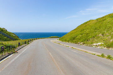 夏の礼文島風景