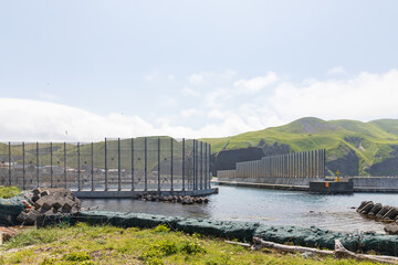 夏の礼文島風景