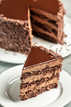 Piece of delicious chocolate cake on a plate. vertical image. top view