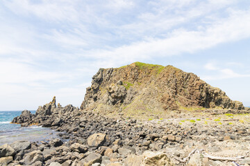 夏の礼文島風景