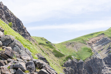 夏の礼文島風景