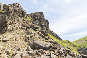 夏の礼文島風景