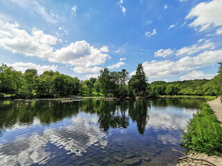 Fototapeta premium lake and forest