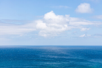 Obraz premium 夏の礼文島風景