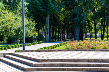 Obraz premium spring in the park