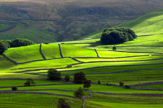 yorkshire dales drystone walls, grassington, england