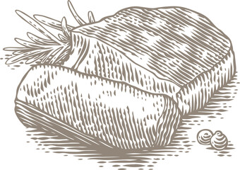 Drawing of isolated low-roast beef stake with pepper and rosemary