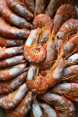 Close-up of steamed prawns on a platter