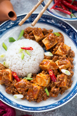 Close-up of mapo tofu or chinese dish made of tofu cubes, ground pork and white rice, vertical shot