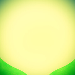 Color Background for presentations,  layout decorative, design, template, cover, insert picture or text with Copy Space