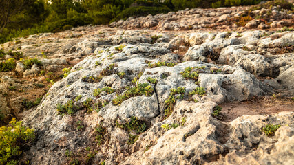 Fototapeta na wymiar Grey stone cliffs with plants