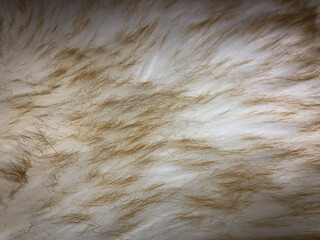 Brown fur texture background. Copy space for your text.