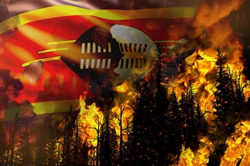 Big forest fire fight concept, natural disaster - flaming fire in the trees on Swaziland flag background - 3D illustration of nature