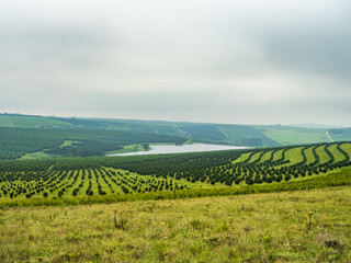 Beautiful crop lines over hills around the lake eland in Port Shepstone South Africa