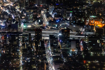 Fototapeta na wymiar 夜の静岡駅付近を南側から空撮