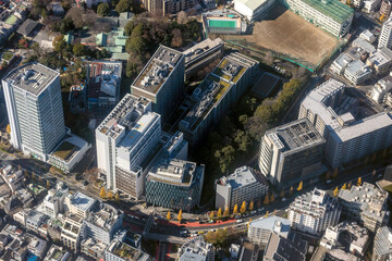 Fototapeta premium 原宿警察署付近を空撮