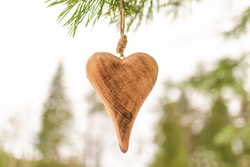 Wooden heart Pine branch in winter snow close up. Snow fir branch in forest. a symbol of romantic...