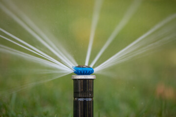 The rotary nozzle of the automatic watering system waters the juicy young green lawn grass. Selective focus.