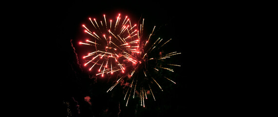 Multicolored fireworks on a background of night sky.