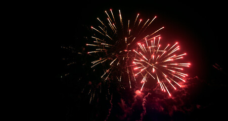 Multicolored fireworks on a background of night sky.