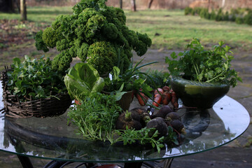 jesienne plony na szklanym stole na tarasie jarmuż warzywa zielenina - obrazy, fototapety, plakaty