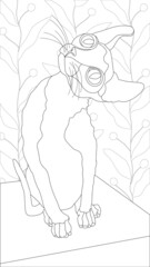 coloring page with the image of a domestic cat of the Sphinx breed. Hobbies and creativity.