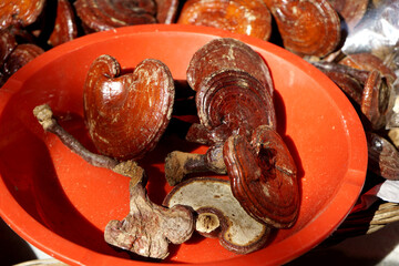 전통시장에는 약초를 판매합니다.