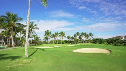 Golf course in Punta Cana in the Dominican Republic. Summer park with green grass and golf obstacles. Palm trees with long leaves against the blue sunny sky.