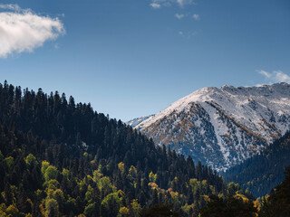 travel to Caucasus mountains in Karachay-Cherkessia, Arkhyz. Beautiful Autumn mountain landscapes, snow caps on tops of mountains. the road to Lake Orlyonok from Taulu glade