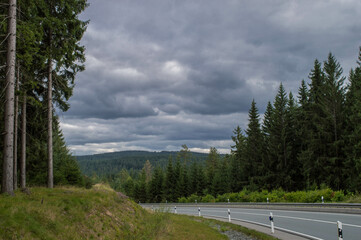 curved road through a forest with cloudy sky