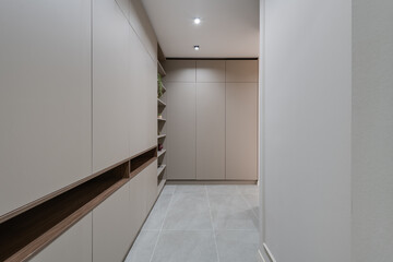 wardrobe and shelves with decor in the room in a modern style