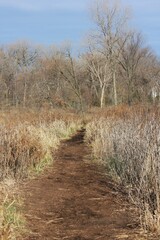 path in the field