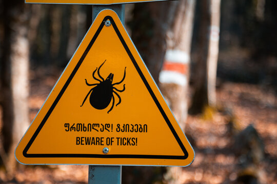 Sign Of Danger For Ticks, In The Middle Of The Forest