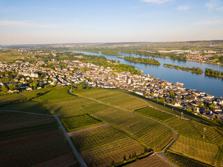 Luftbild mit Drohne von Rüdesheim am Rhein und seinen Weinbergen in Rheinhessen, Deutschland